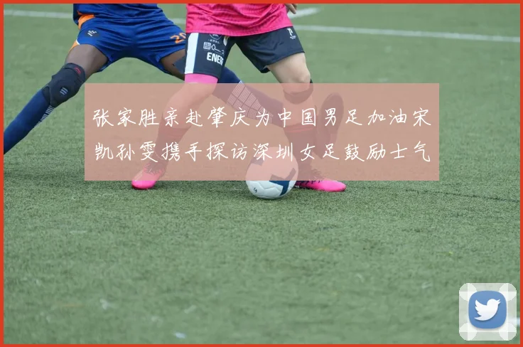 张家胜亲赴肇庆为中国男足加油宋凯孙雯携手探访深圳女足鼓励士气